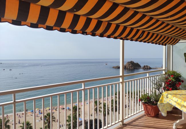 Apartamento en Blanes - Aiguaneu Sa Terrassa